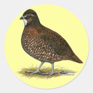 Tennessee Red Quail Runder Aufkleber