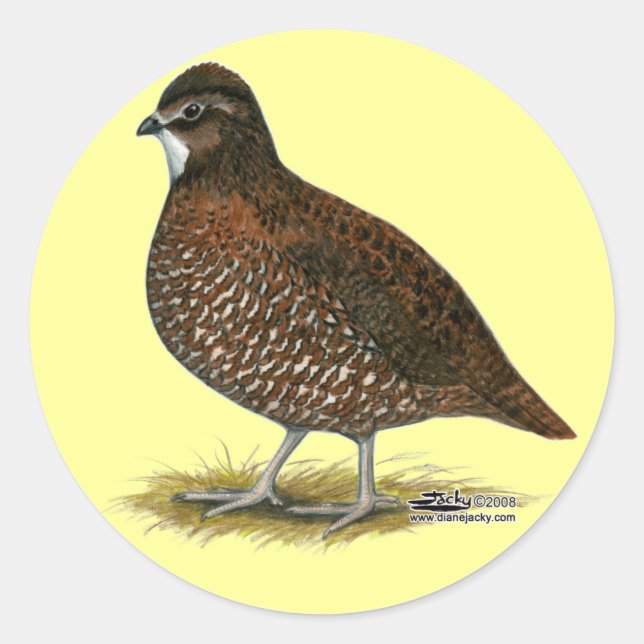 Tennessee Red Quail Runder Aufkleber (Vorderseite)