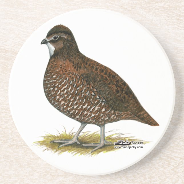 Tennessee Red Quail Untersetzer (Vorne)