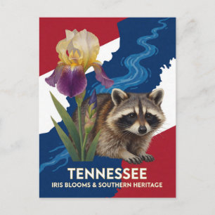 Tennessee-Schwertlilie und Waschbär Staatssymbole Postkarte