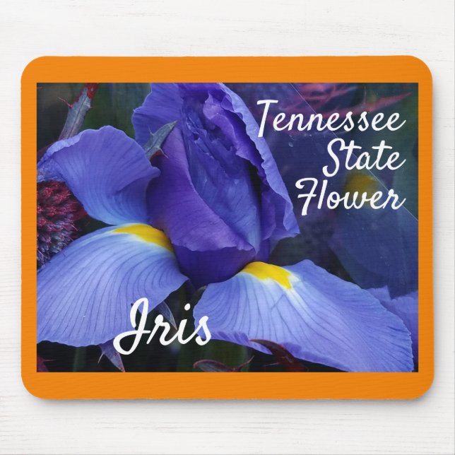 Tennessee Staat Blume Iris Naturfotografie Mousepad (Vorne)
