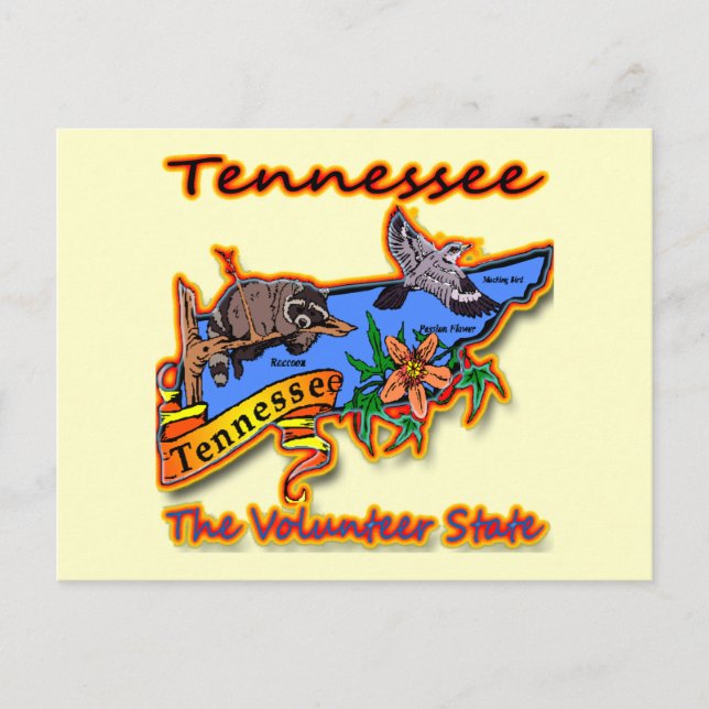 Tennessee Staat Racoon Blume Bird B Postkarte (Vorderseite)