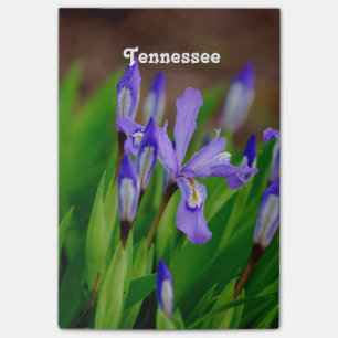 Tennessee-Staats-Blume Post-it Klebezettel