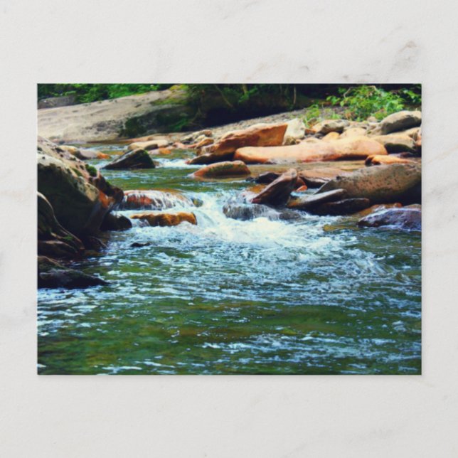 Tennessee Stream Postkarte (Vorderseite)