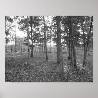 Tennessee Vineyard Poster