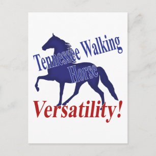 Tennessee Walking Horse Versatility Postkarte