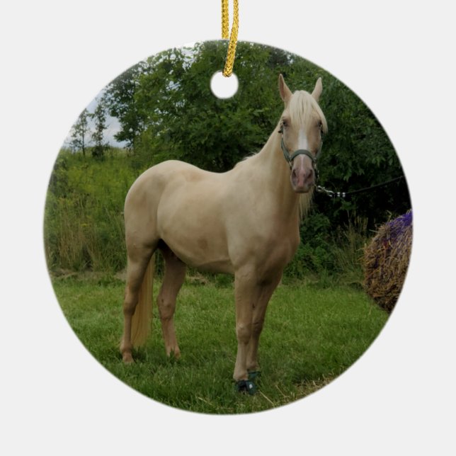 Tennessee Wanderhorse Ornament (Vorne)
