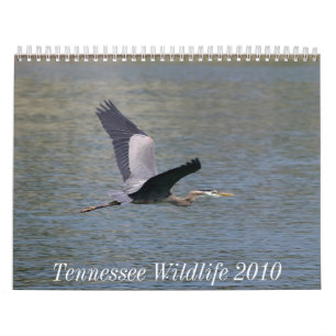 Tennessee-wild lebende Tiere 2010 Kalender