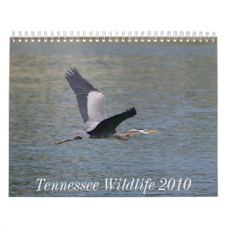 Tennessee-wild lebende Tiere 2010 Kalender