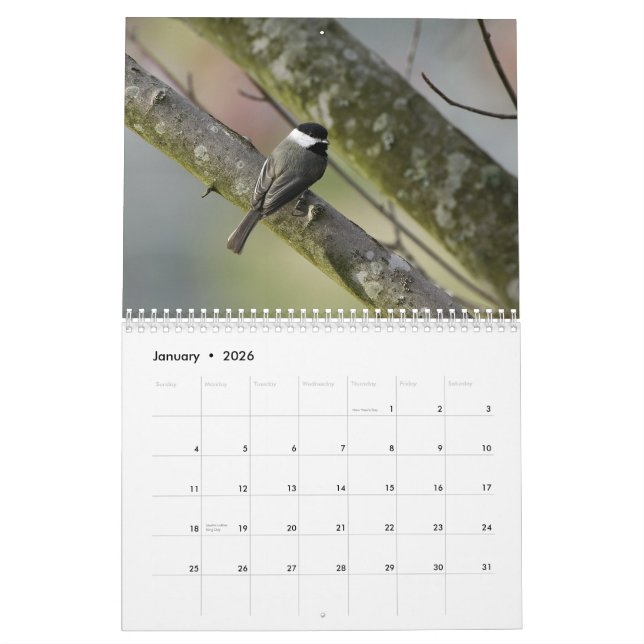 Tennessee-wild lebende Tiere 2010 Kalender (Jan 2026)