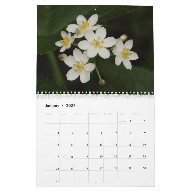Tennessee-Wildblumen 2013 Kalender (Jan 2027)
