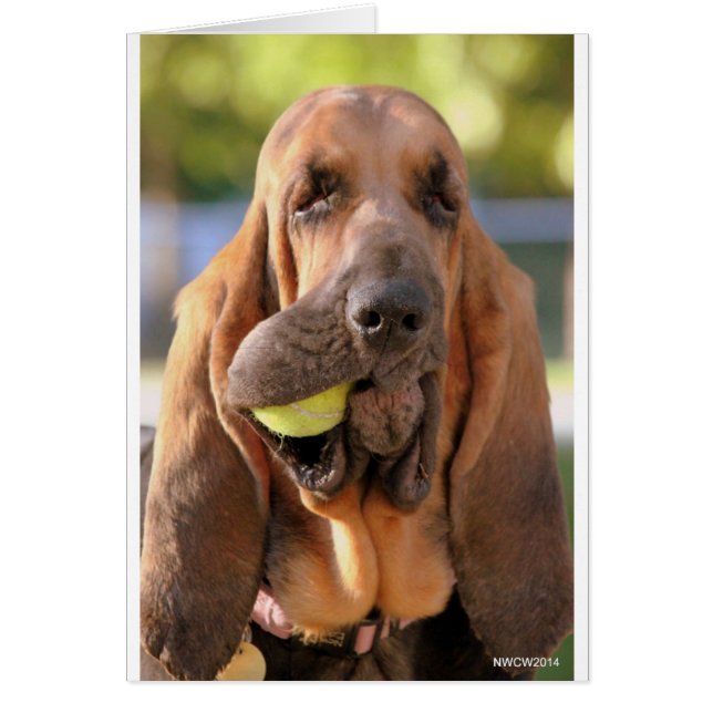 Tennis, jemand? (Vorne)