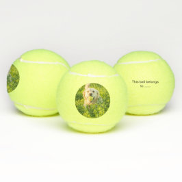 Tennisball für Hund mit Bild und Name Tennisbälle