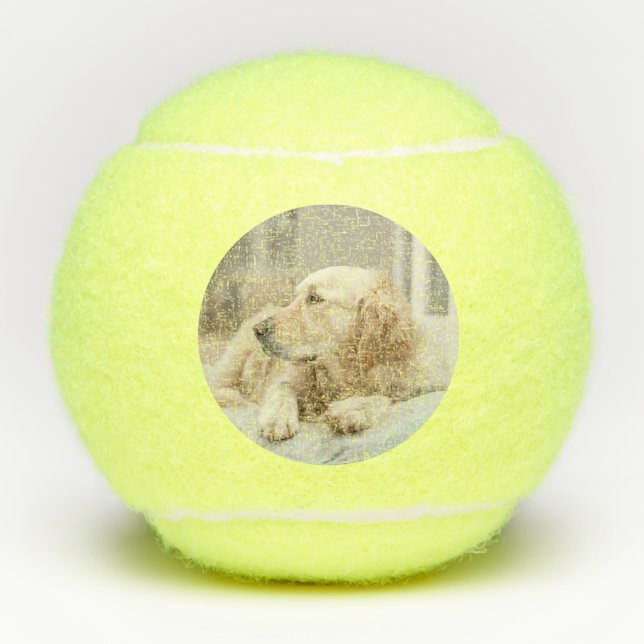 Tennisball mit dem Bild des Goldenen Retriever Tennisbälle (Vorderseite)