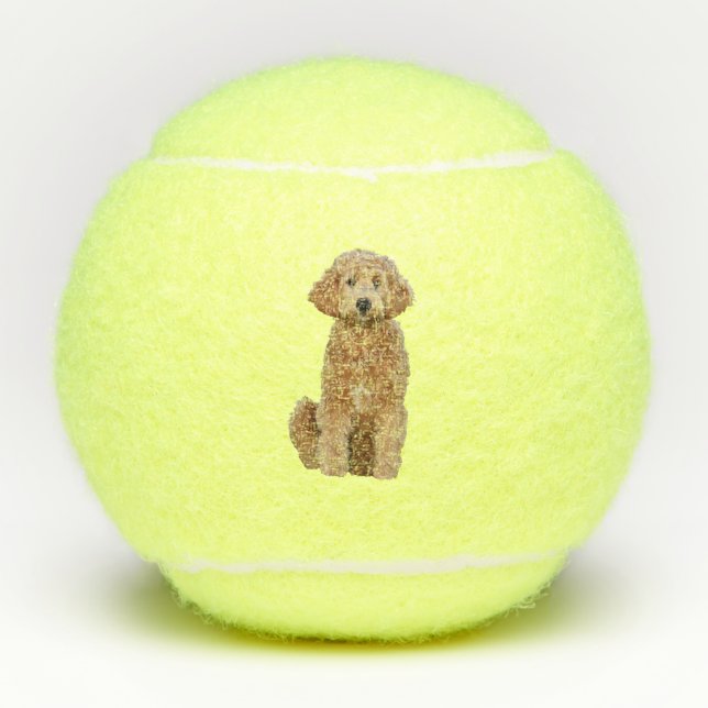 Tennisbälle mit goldendoodle (Vorderseite)