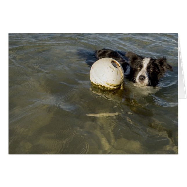 Tennisbälle sind für die Schwächlinge! (Vorderseite (Horizontal))