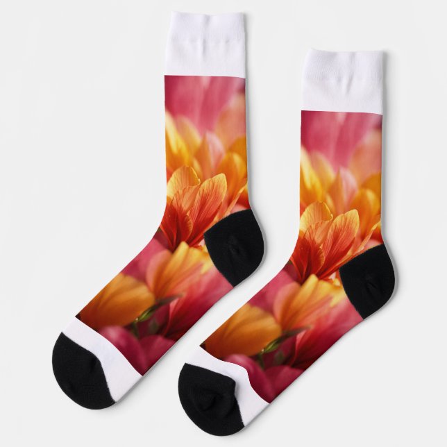 Tennissocken Socken (Linkes Detail)