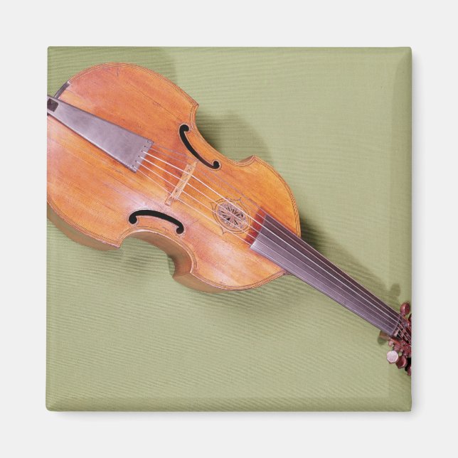 Tenor viol, 1667 magnet (Vorne)