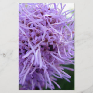Tentacle Spider Violet Blume Briefpapier
