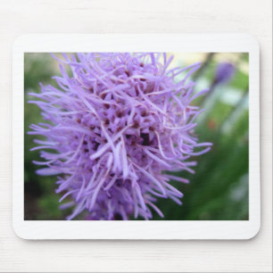 Tentacle Spider Violet Blume Mousepad