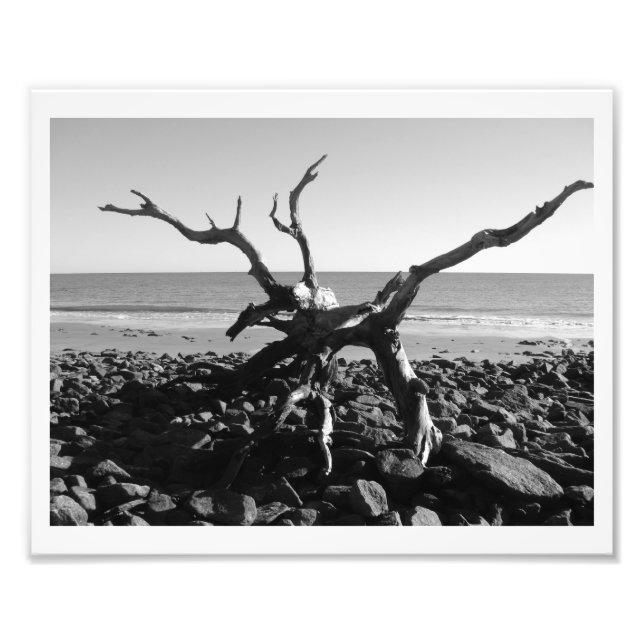 Tentakel Fotodruck (Vorne)