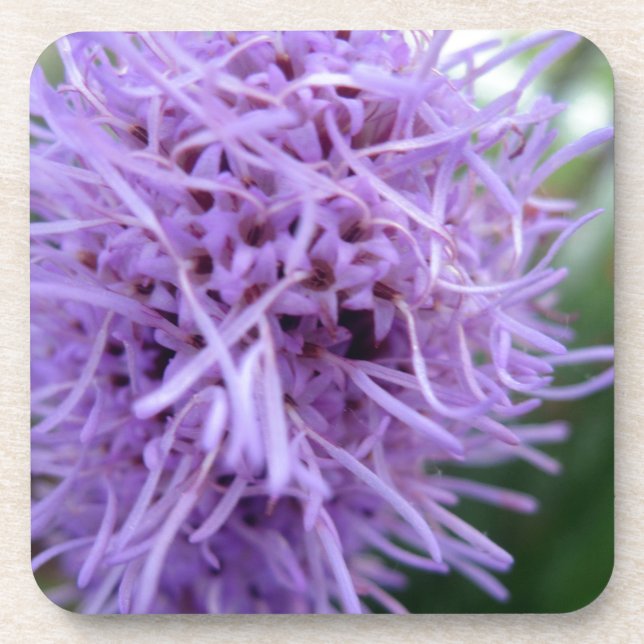 Tentakel Spinne Violette Blume Untersetzer (Vorderseite)