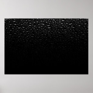 Teppich aus schwarzem und weißem Blumenbeet Poster