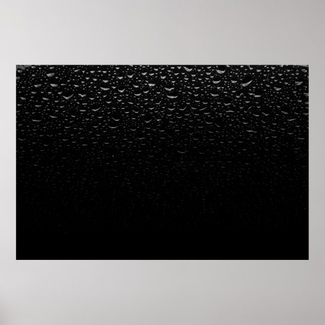 Teppich aus schwarzem und weißem Blumenbeet Poster (Vorne)