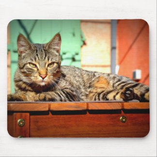 Teppich Maus gefleckte Katze auf einem Gartentisch Mousepad