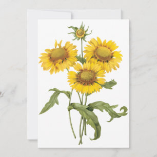 Teppichblume Sonnenblume von Redoute Einladung