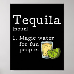 Tequila-Liebhaber Cinco De Mayo Mexikanische Party Poster