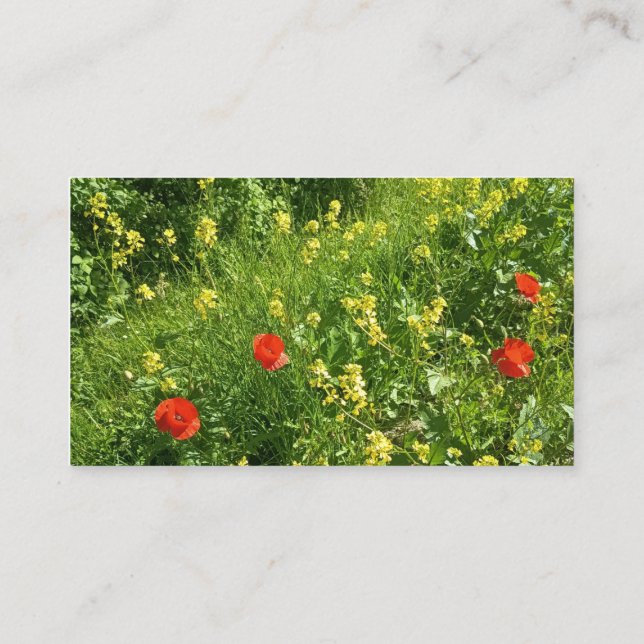 Termin Karte Rote Wildblumenwiese (Rückseite)