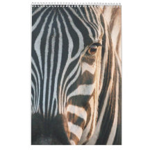 Termine in Afrikas Wildem Königreich, Kalender 202