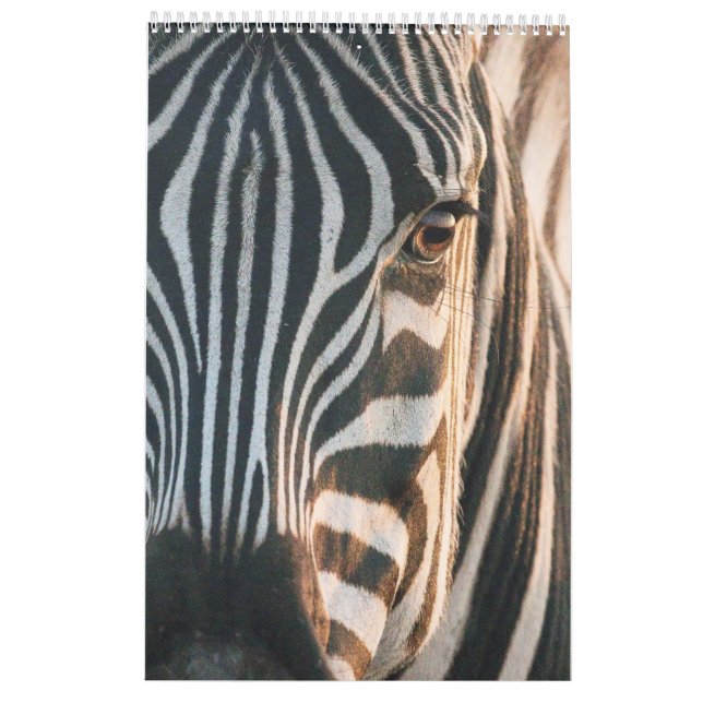 Termine in Afrikas Wildem Königreich, Kalender 202 (Rückseite)