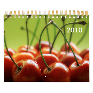 Terminkalender 2010 kalender