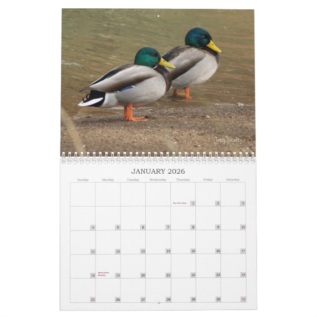 Terminkalender für die Jagd auf Mallard-Enten Kalender (Jan 2026)