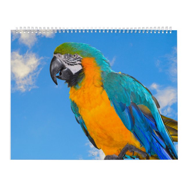 Terminkalender für gemischte Papieren Kalender (Titelbild)