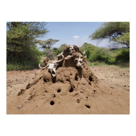 Termite Hill in Tansania Poster