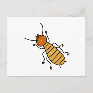 Termite Postkarte