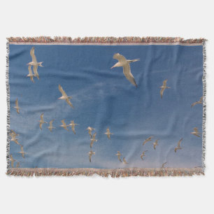Terns Overhead Decke
