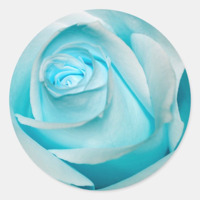 Terquoise Ice Rose Runder Aufkleber (Vorderseite)