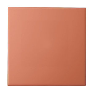Terra Cotta Color 1 Fliese