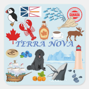 Terra Nova Neufundland Quadratischer Aufkleber