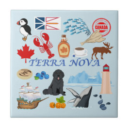 Terra Nova Newfundland Fliese