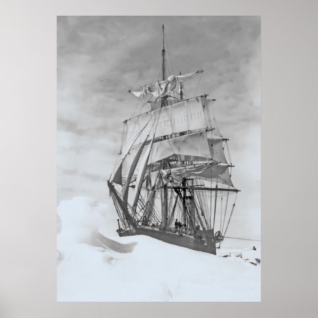 Terra Nova Poster (Vorne)