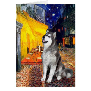 Terrace Café - Alaskan Malamute