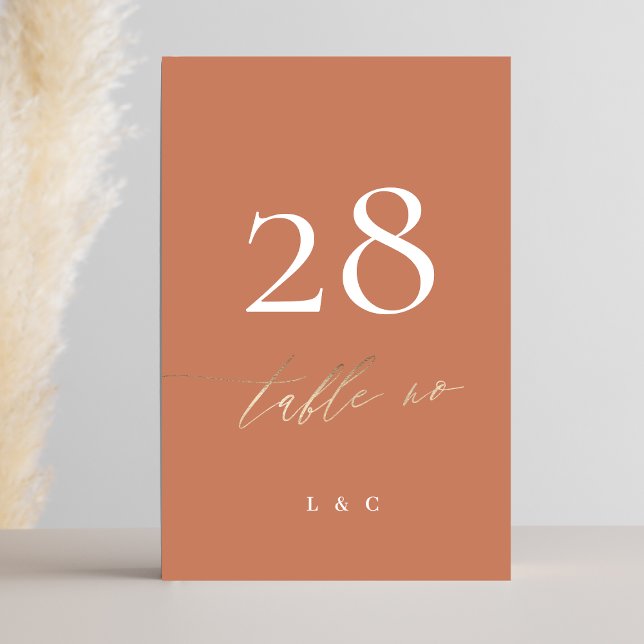 Terracotta Dusty Orange Tischnummer (Von Creator hochgeladen)