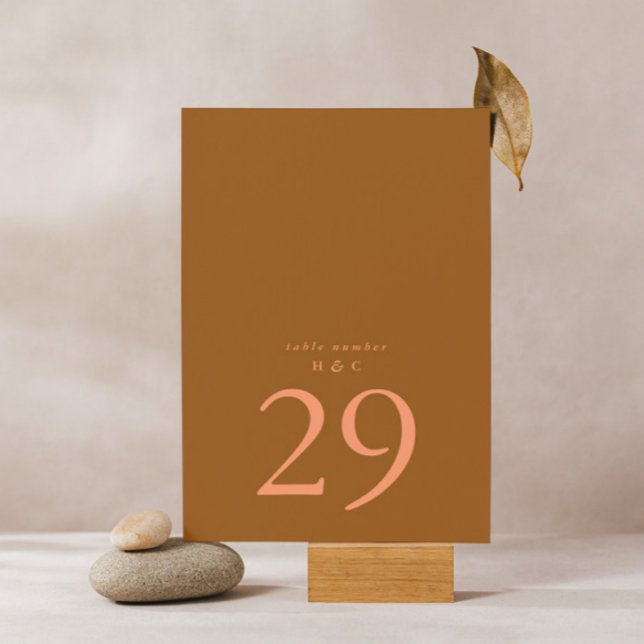Terracotta Moss Green Einfache Schlichte Hochzeit Tischnummer (Von Creator hochgeladen)