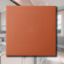 Terracotta Orange Solid Color Warm & Earthy Design