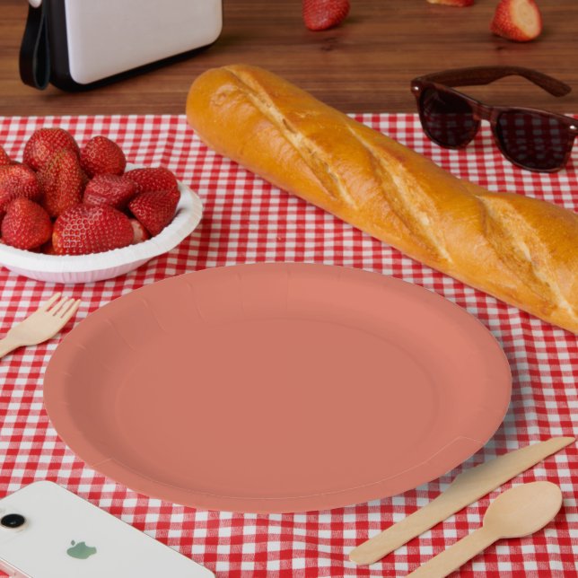 Terracotta Pappteller (Picknick)